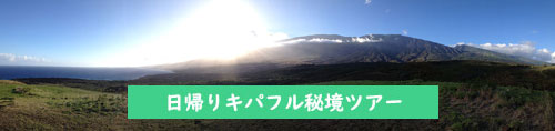 マウイ島 クチコミ 人気ツアー